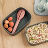 Box On the Go - Bento box - Voedselcontainer + Reisbeker